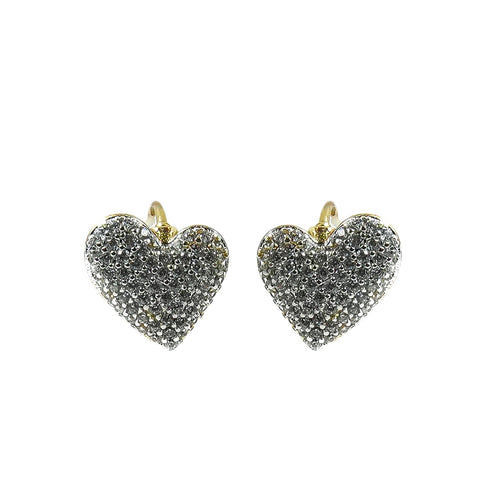 Women Earring Jewelry - 003010J